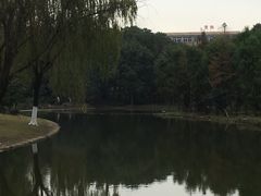 -河泥荡文化公园
