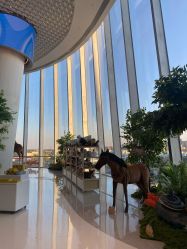 -IMON·HANSA潮玩玩偶毛绒玩具(通州万象汇店)