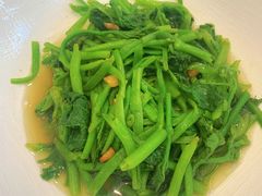 辣炒南瓜藤-九福楼大酒店