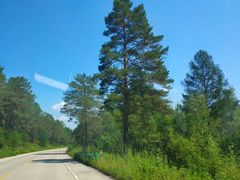 -北极村旅游风景区