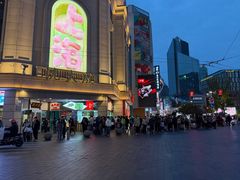 -沈大成(南京东路店)