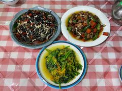 -绿草墩
