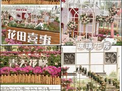 -盈香心动乐园