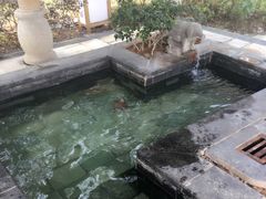 -洪湖悦兮半岛国际温泉度假村