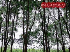 -良渚古城遗址公园