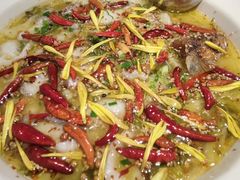 -太二酸菜鱼(汕头苏宁广场店)