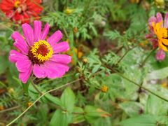 -上海市保健医疗中心