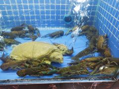 -91小龙虾·香辣蛙(蛇口店)