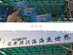 -太平洋海底世界