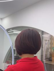-T8 SALON