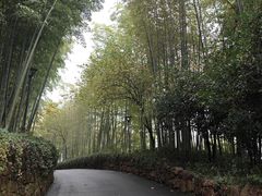 -池州市平天湖风景区