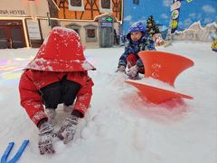 -世界之窗阿尔卑斯冰雪世界