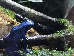 -暹罗海洋世界