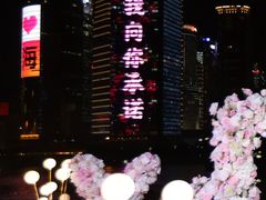 -InParty·游艇求婚策划生日派对布置(世纪大道店)