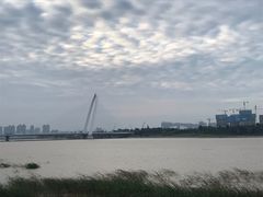 -灞河西岸滨河公园