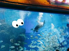 -石林冰雪海洋世界