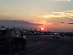 -合肥滨湖国家森林公园