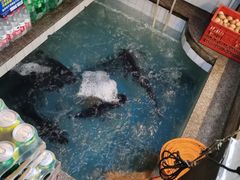 -旭龙鱼头王(航华店)