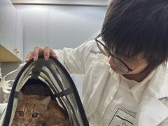 -瑞派天使宠物医院·神经外科·骨科·核磁CT(洛川中路店)