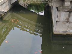 -枫桥景区