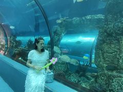 -乐从天佑城海洋馆