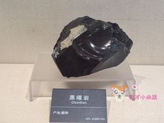 -安徽省地质博物馆