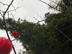 -中铁花水湾温泉酒店(大邑店)