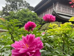 -龙华寺