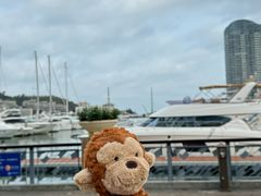 -小猫钓鱼海钓俱乐部(椰梦长廊店)