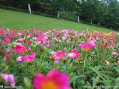 -大平台龙居瀑布旅游区