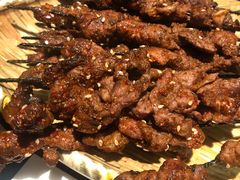 生烤羊肉串-沙力海(北大街店)