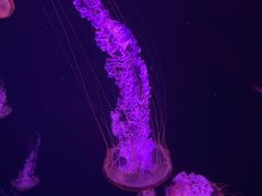 -波塞冬海底世界