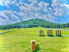 -长白山万达锦华套房酒店
