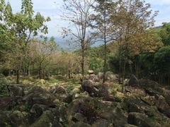 -山沟沟景区