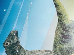 -正佳自然科学博物馆