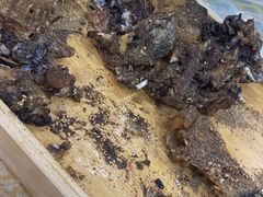 -活鱼馆(宜兴埠店)