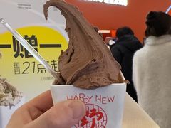 -野人先生现做冰淇淋(北京王府井东方新天地店)