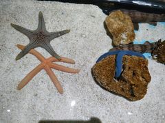 -绿色星球动物主题公园
