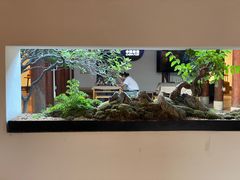 -晋江五店市传统文化旅游区