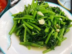 茼蒿-靖远尕六美味羊羔肉
