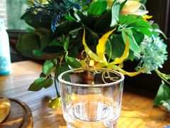 -IFIF 如果花園(宽厚里店)