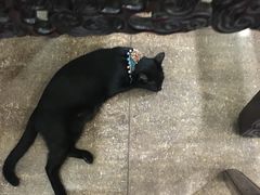 -东吴面馆(因果巷店)