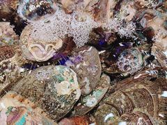 -老虎滩船说·海胆水饺·大连海鲜(老虎滩店)
