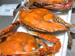 -大锅强·蒸海鲜青岛菜(吾悦广场店)