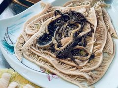 -二荆条·蜀鲜汇城市森林火锅