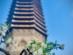 -玲珑塔公园