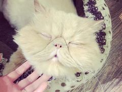 -小时光咖啡馆(开森度假森林店)