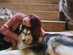 -more than meow吴止猫主题餐厅(承德 中船汇店)