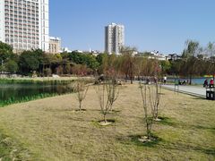 -南宁南湖公园
