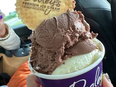 -Dooley's Premium Ice Cream